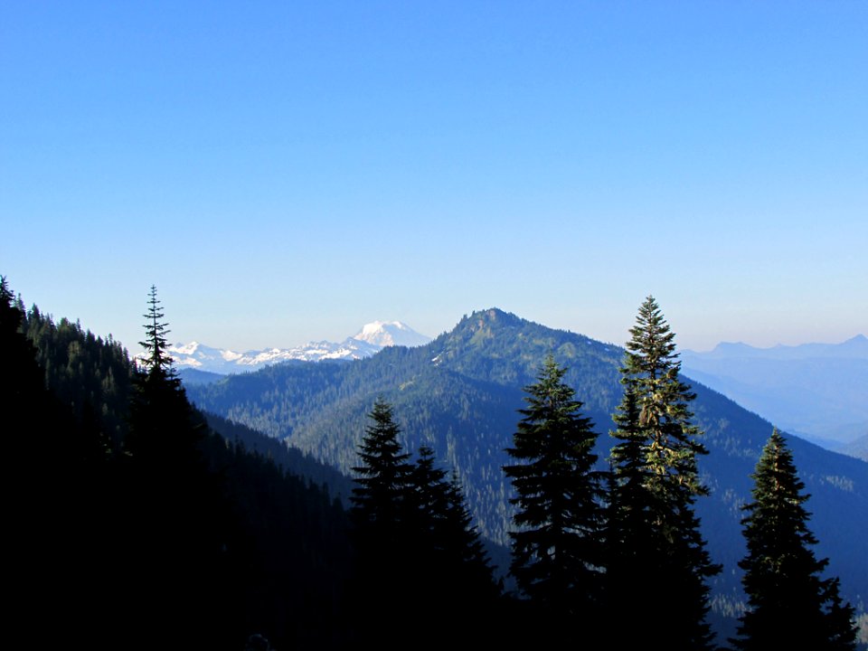 Mt. Rainier NP in WA