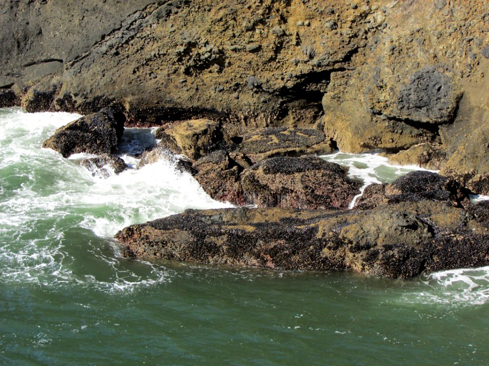 Yaquina Head in OR