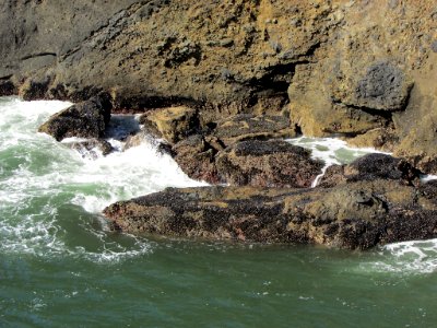 Yaquina Head in OR