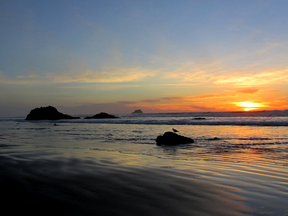 Hug Point at Pacific Coast in OR