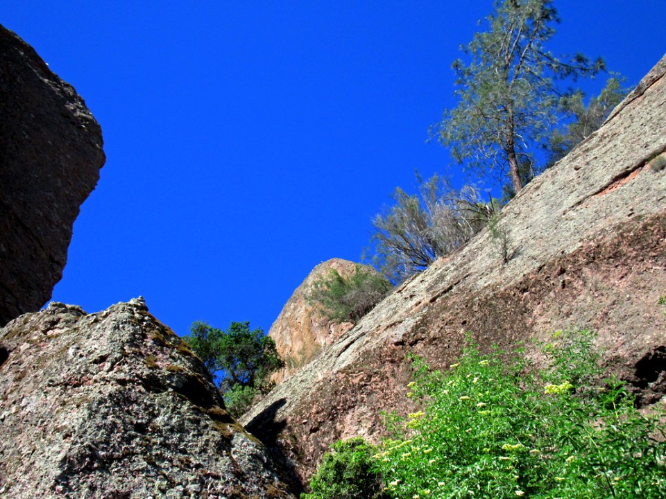 Pinnacles NP in CA