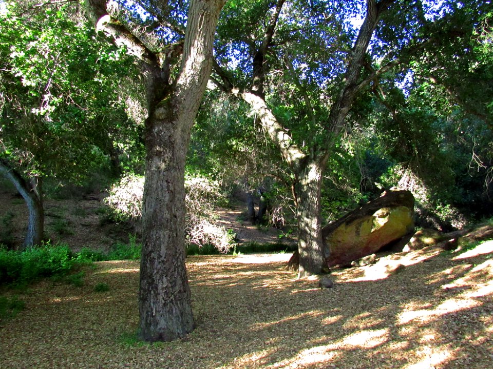 Pinnacles NP in CA