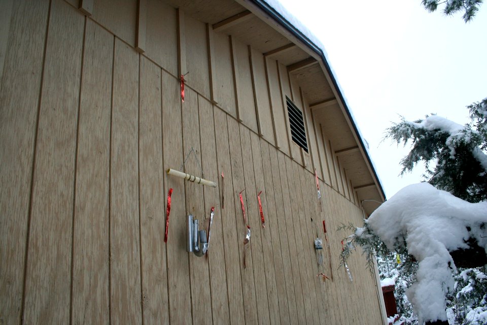 Woodpecker Deterrent Network