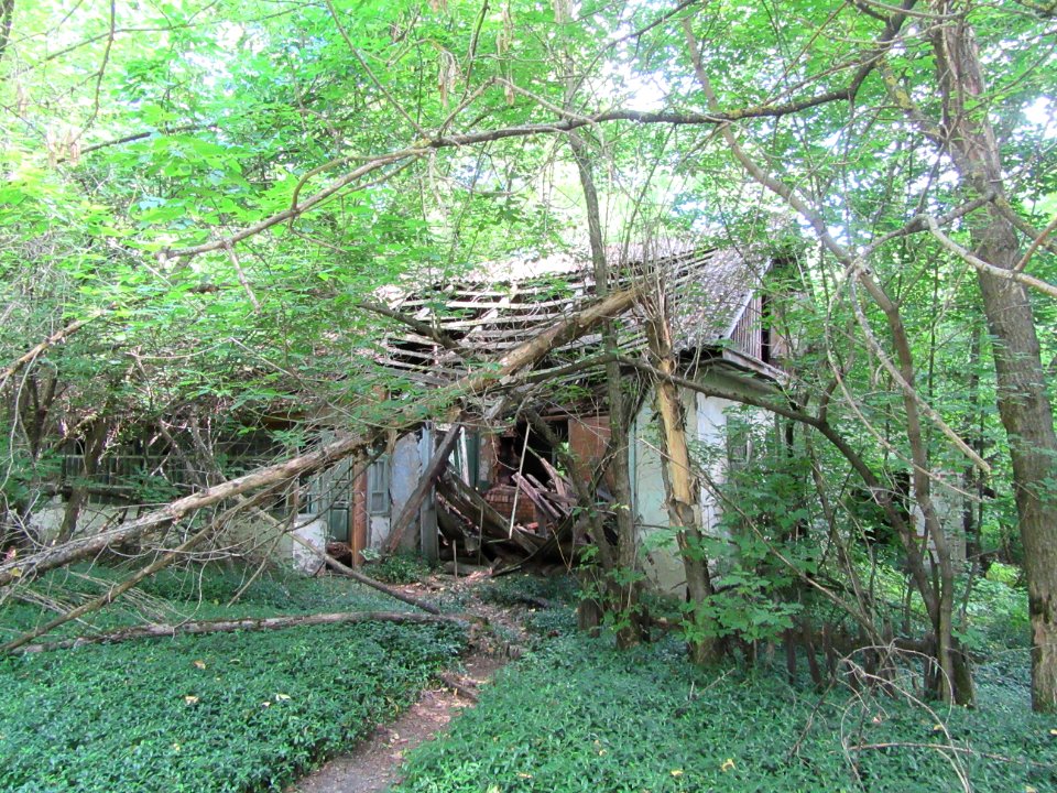 Abondoned House in the small village of Cherevach Chernobyl exclusion zone Ukraine
