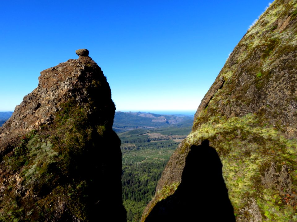 Saddle Mountain Trail in OR