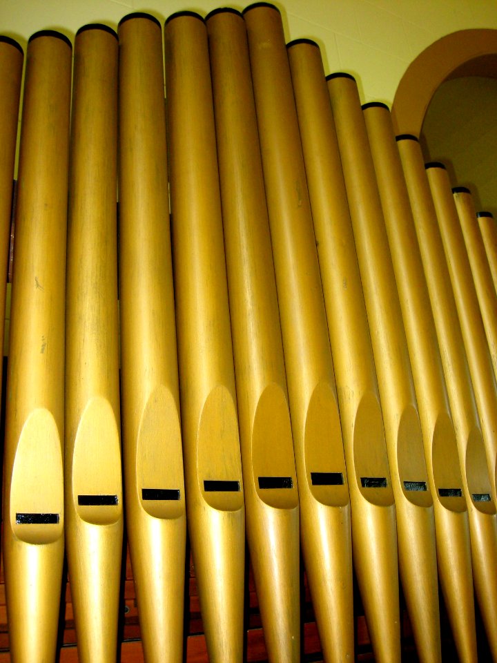 Organ Pipes