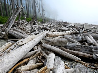 Ruby Beach at Olympic National Park in WA