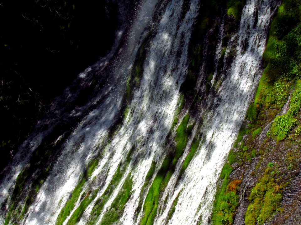 Panther Creek Falls Trail in WA