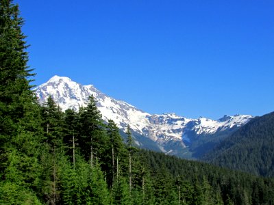 Mt. Rainier NP in WA photo