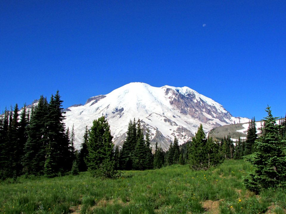 Mt. Rainier NP in WA