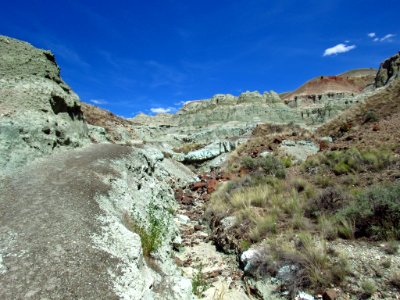Island in Time Trail at John Day Fossil Beds in OR