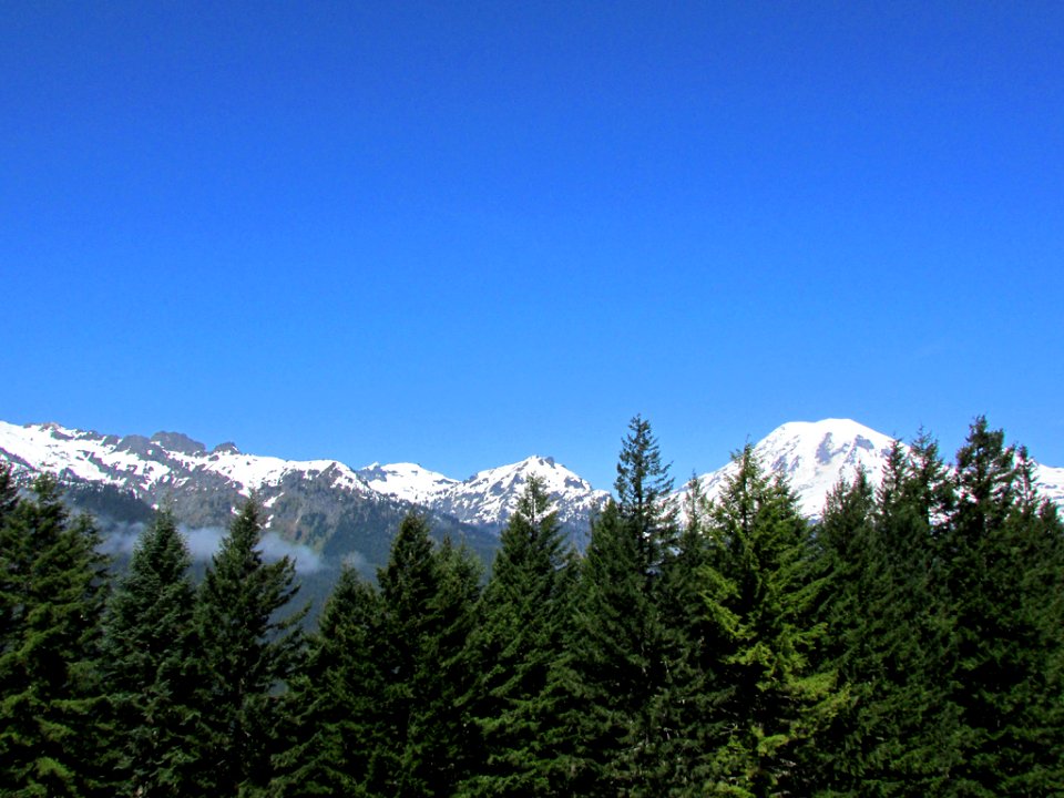 Mt. Rainier NP in WA