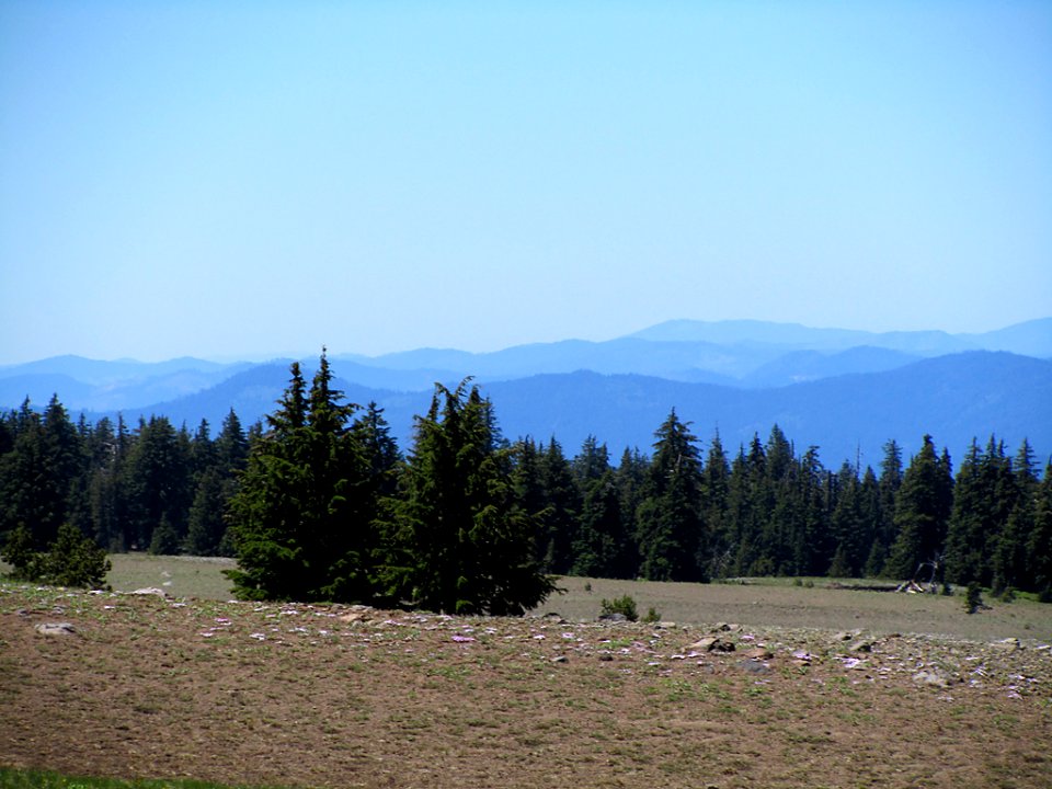 Pumice Desert at Crater Lake National Park in Oregon