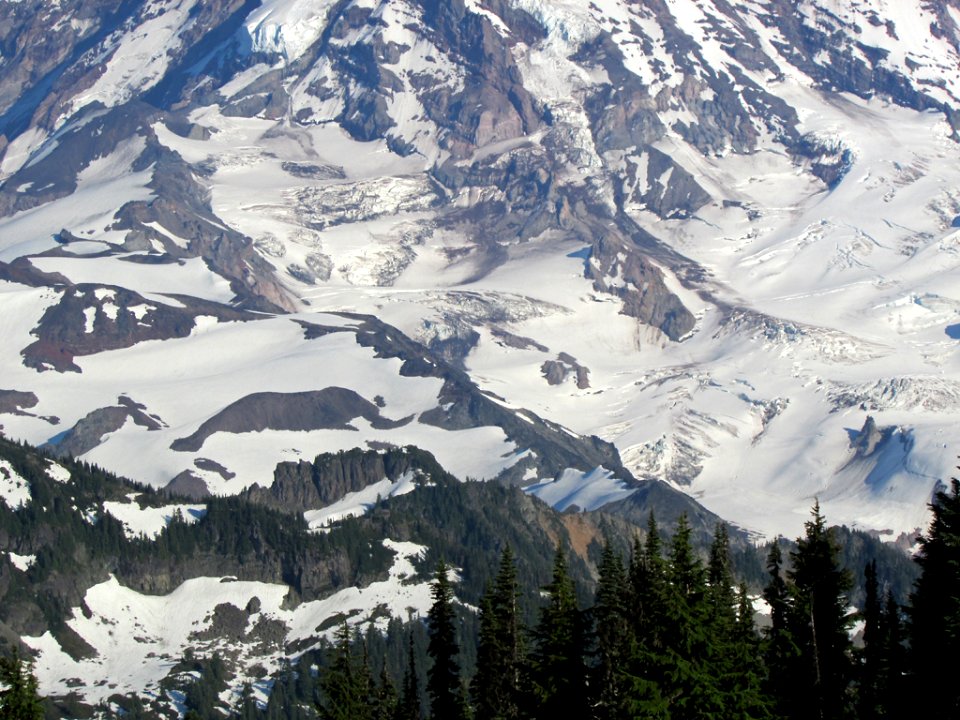 Mt. Rainier NP in WA