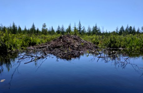 Beaver Lodge photo