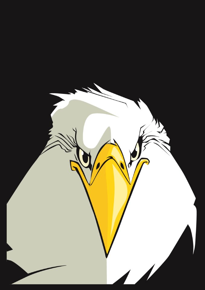 Eyes eagle dark