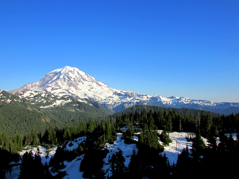 Mt. Rainier NP in WA