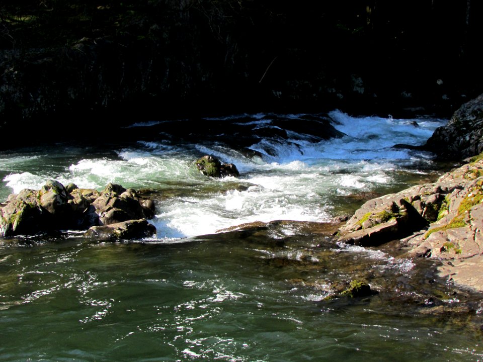 Lucia Falls Park at Lewis River in WA