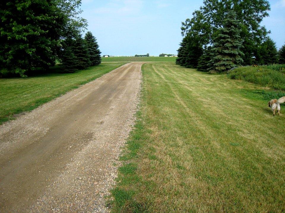Country Driveway