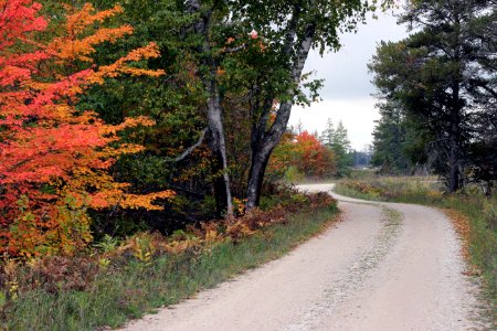 Wildlife Drive at Seney National Wildlife Refuge