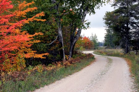 Wildlife Drive at Seney National Wildlife Refuge photo