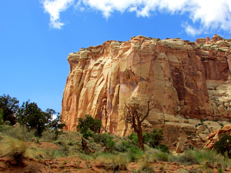 Capitol Reef NP in Utah photo