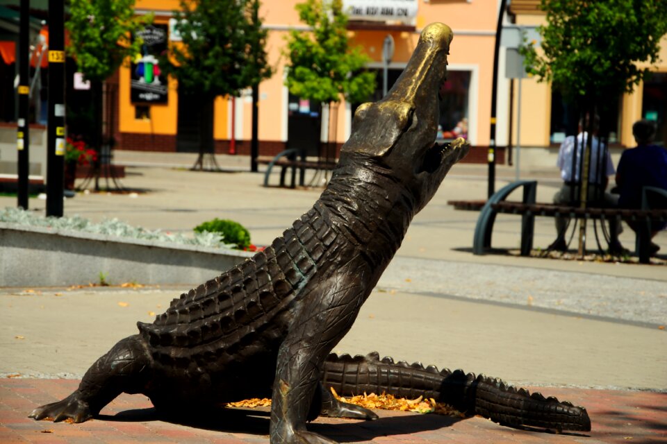 Kolbuszowa the market crocodile