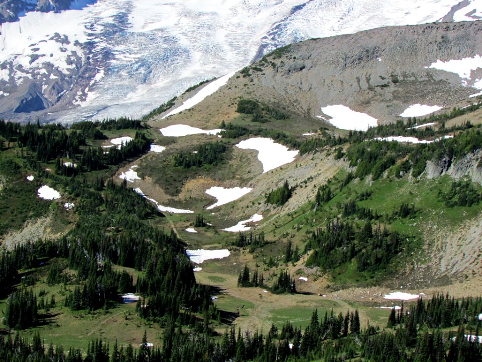 Mt. Rainier NP in WA