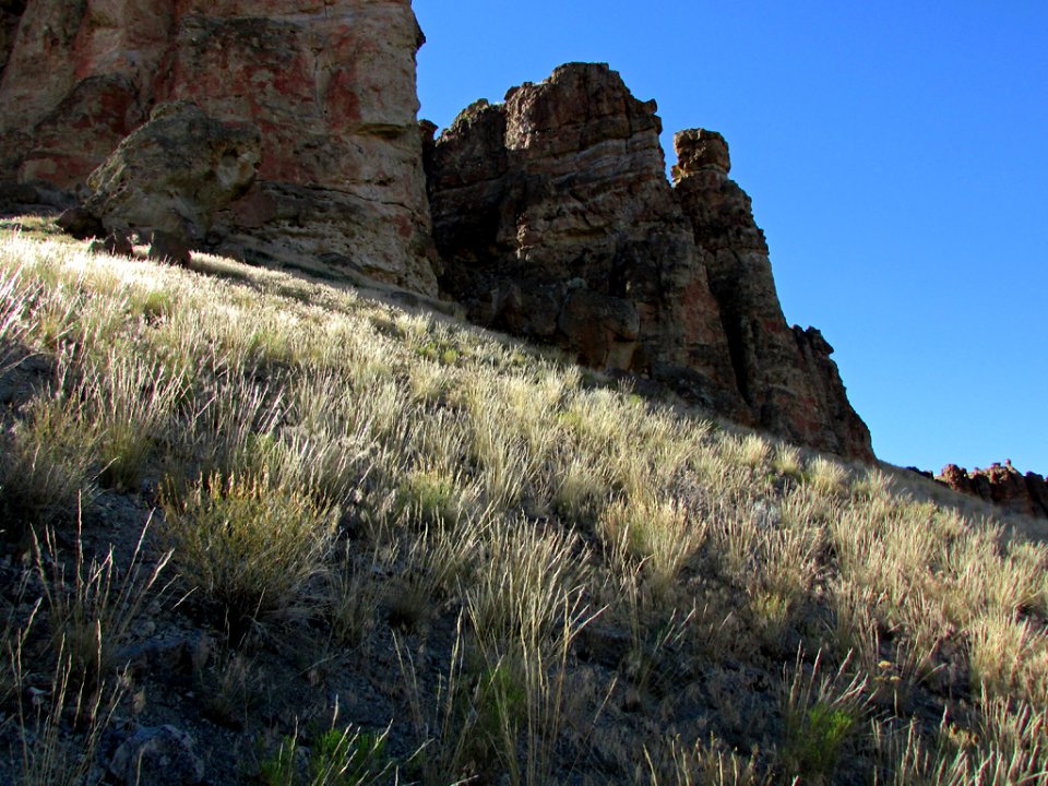 Clarno Unit at John Day Fossil Beds NM in OR