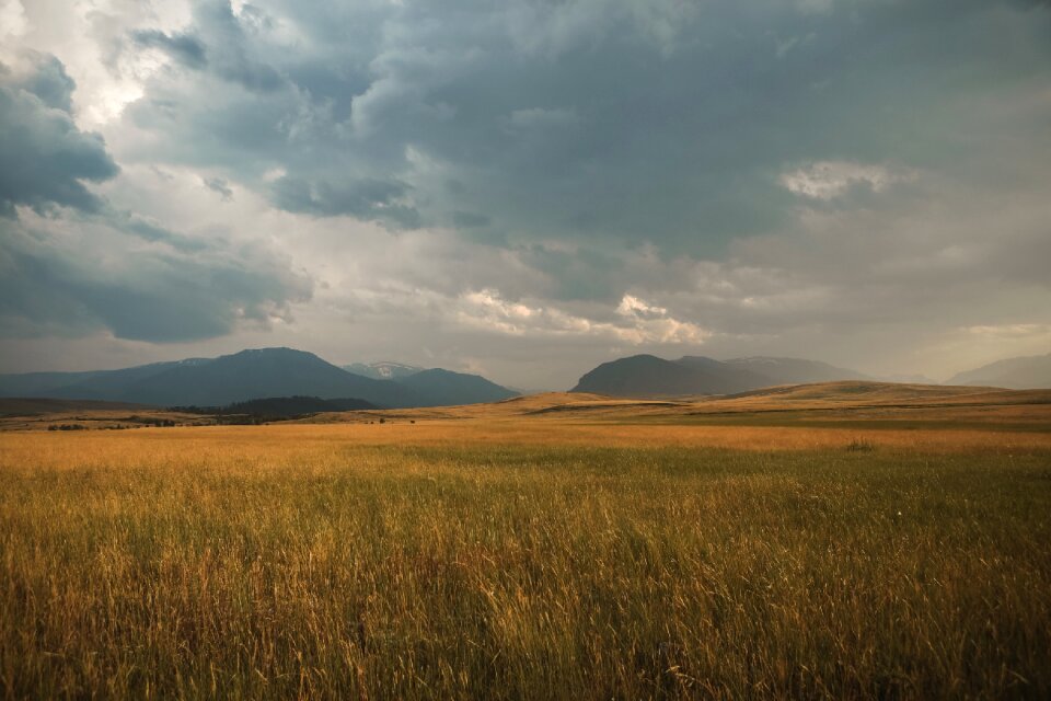 Cloudy fields grass photo