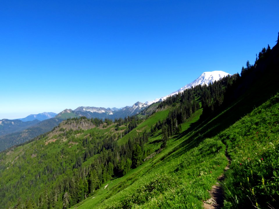Mt. Rainier on Tatoosh Peak Trail in WA