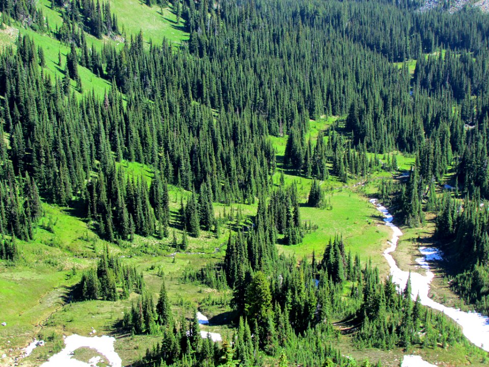 Mt. Rainier NP in WA