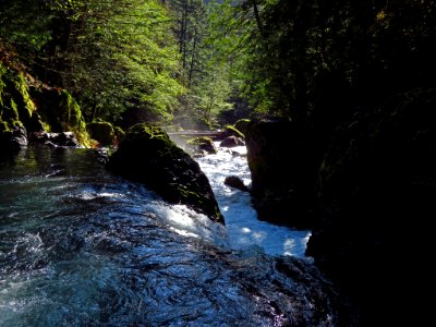 Spirit Falls Trail on Little White Salmon River in WA photo