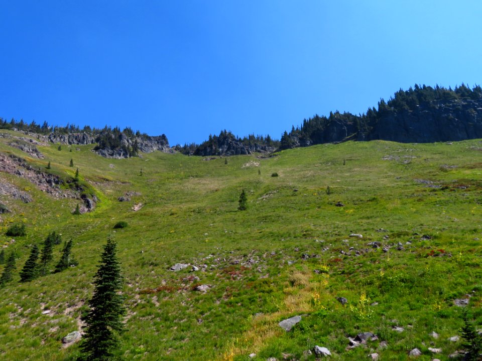 Goat Rocks Wilderness in WA
