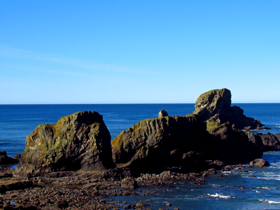 Low Tide at Pacific Coast in OR photo