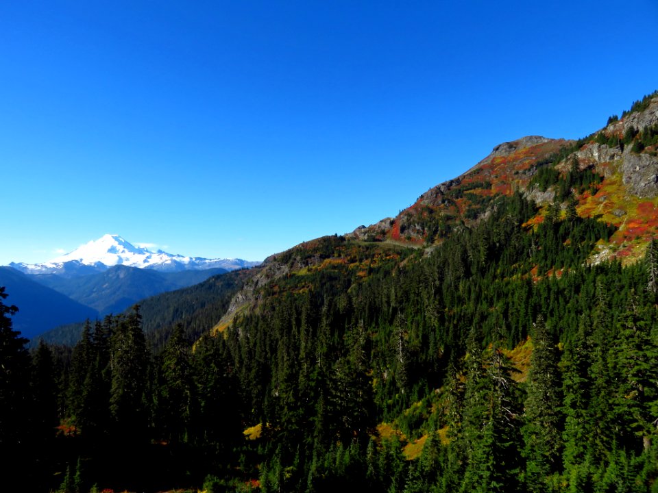 Autumn at Yellow Aster Butte in WA