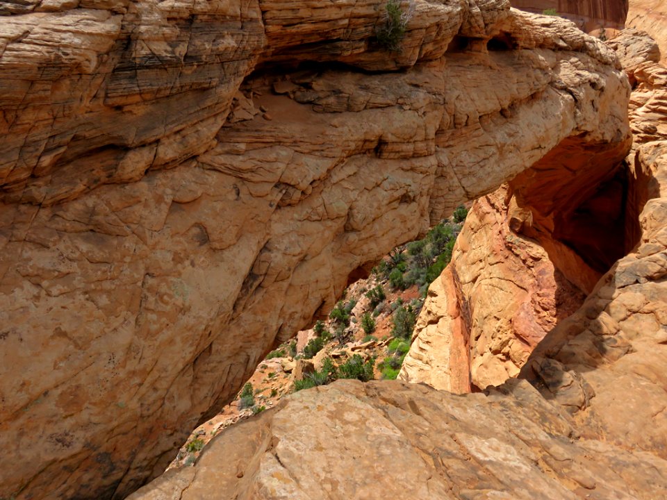 Canyonlands NP in UT
