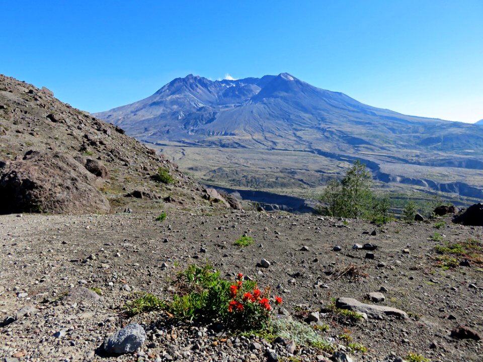 Mt. St. Helens NM in Washington