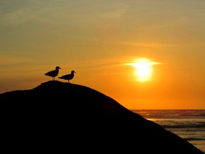 Hug Point at Pacific Coast in OR