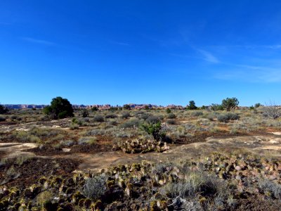 Needles District at Canyonlands NP in Utah