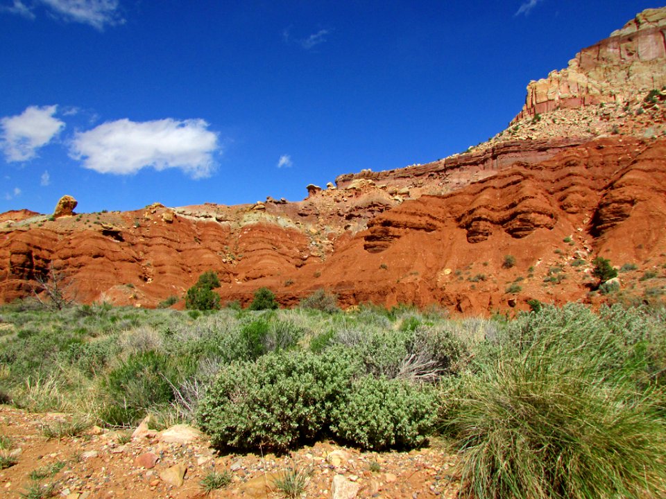 Capitol Reef NP in Utah
