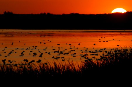 Agassiz National Wildlife Refuge