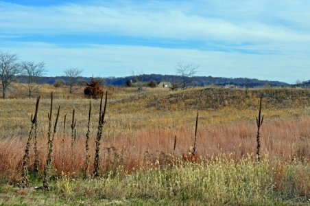Sand Prairie