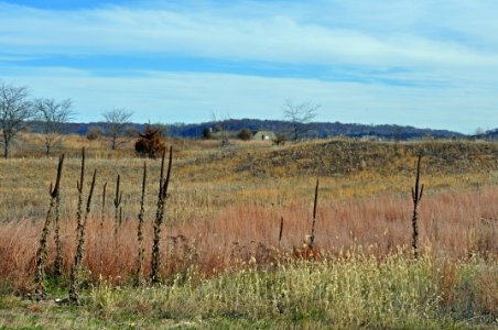 Sand Prairie photo