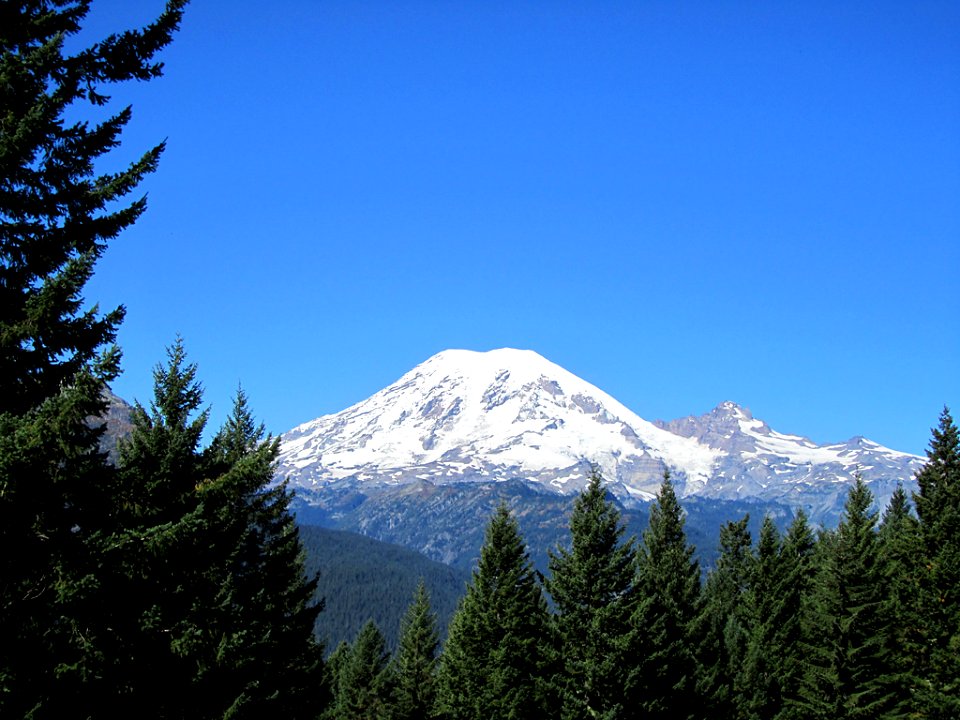 Mt. Rainier National Park in WA