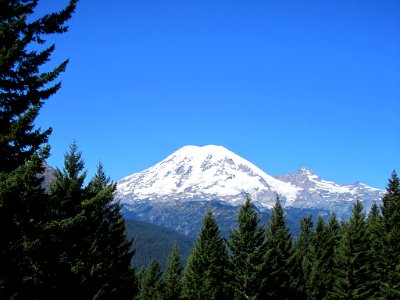 Mt. Rainier National Park in WA photo