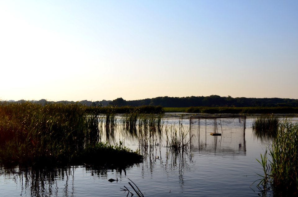 Long Meadow Lake Unit