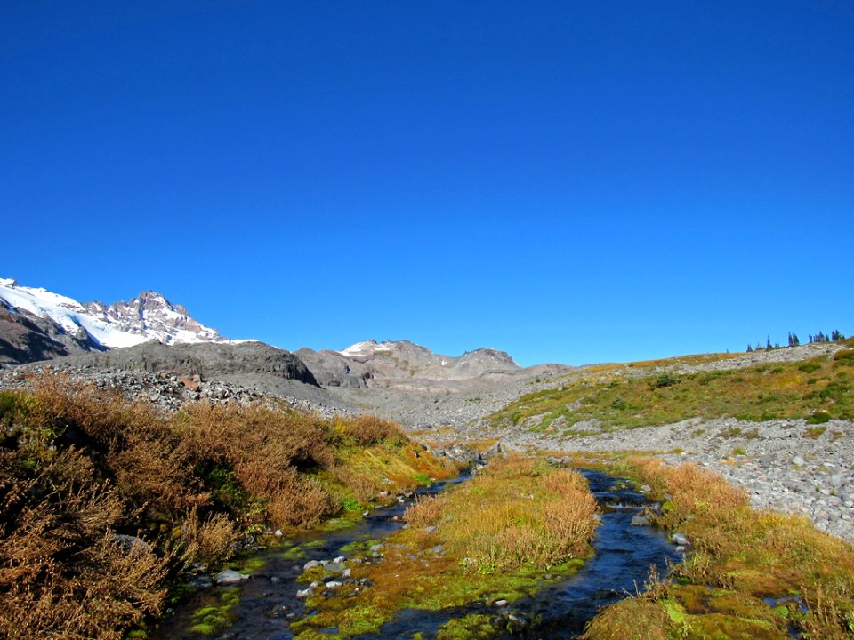 Autumn at Skyline Trail at Mt. Rainier NP in WA