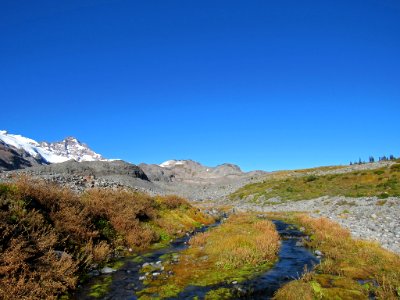 Autumn at Skyline Trail at Mt. Rainier NP in WA photo