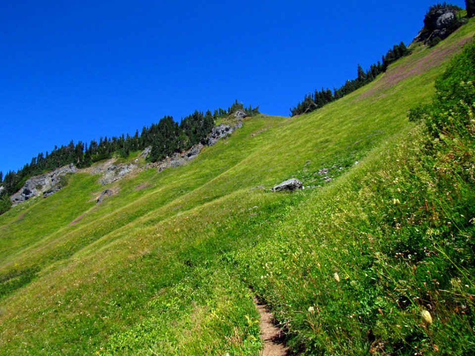 Tatoosh Wilderness in WA